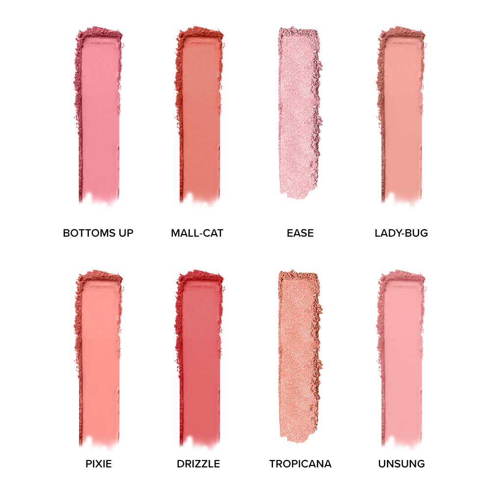 Essential 8 Color Blush Palette - BKS001