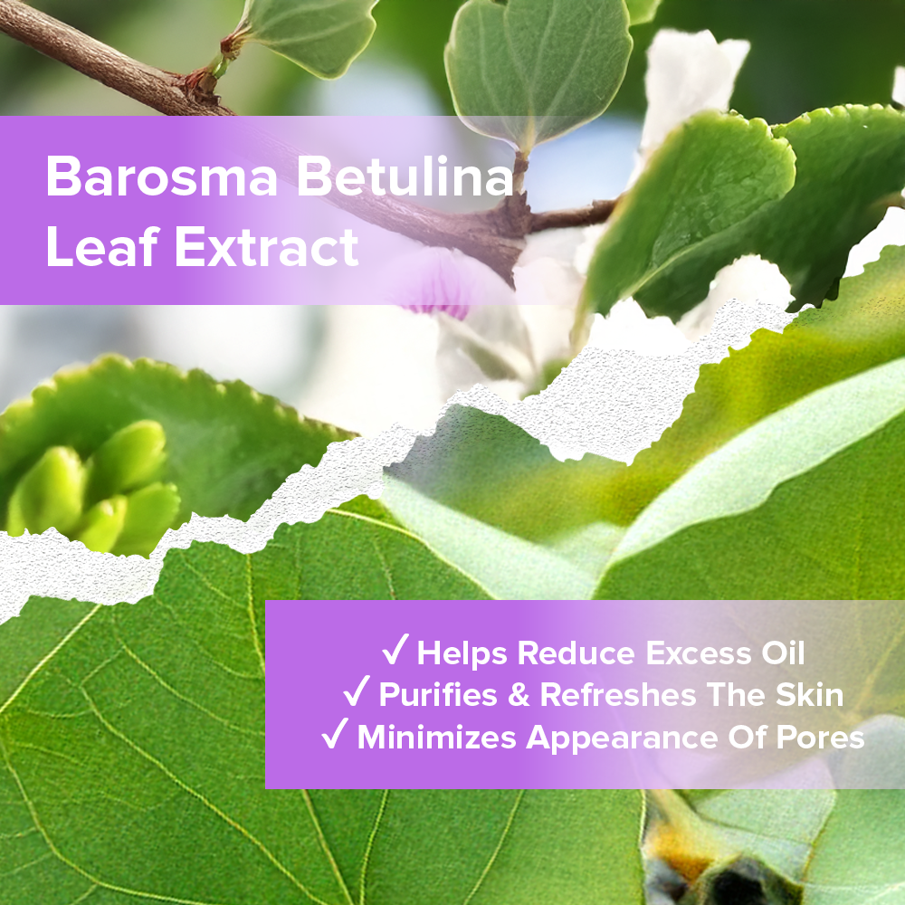 Mist + Fix It Setting Spray