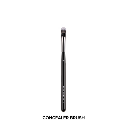 Fine Finish 18 Pieces Brush Set - XZ027